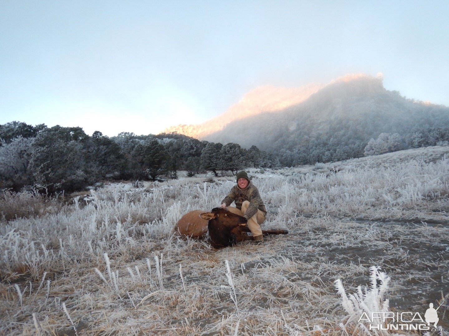 Hunting Elk