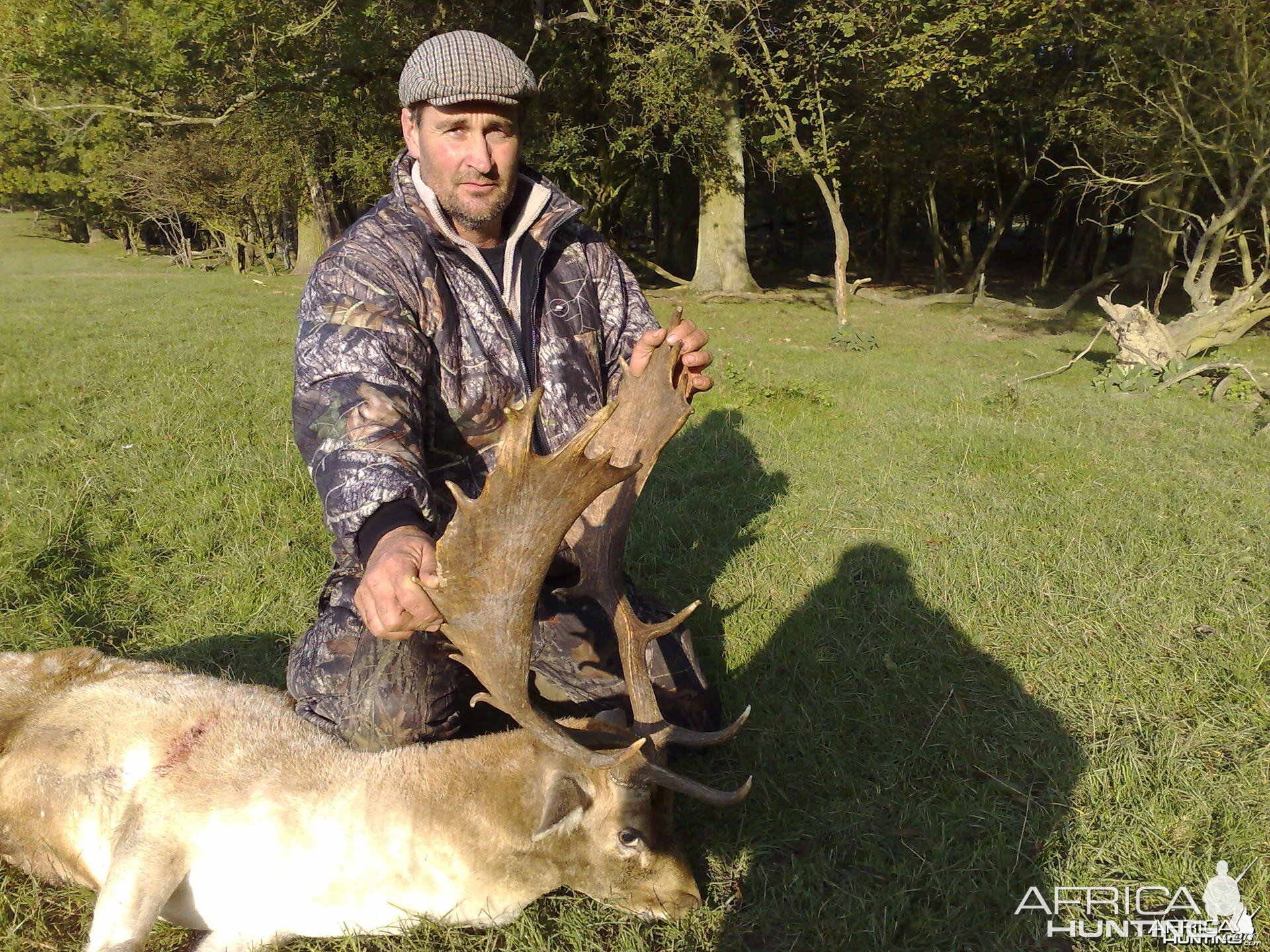 Hunting Fallow Bucks in the UK