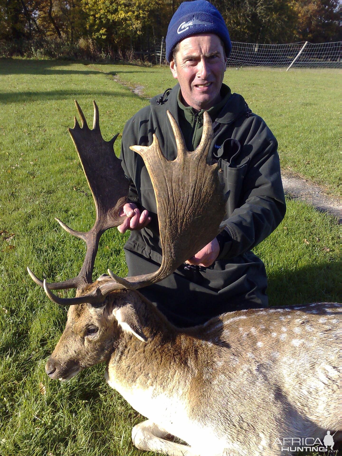 Hunting Fallow Bucks in the UK