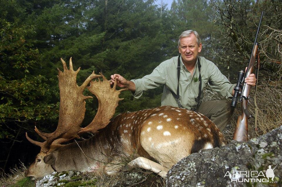 Hunting Fallow Deer France