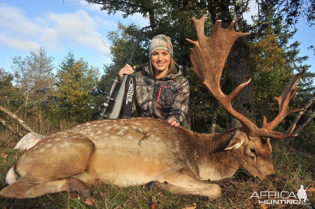 Hunting Fallow Deer France