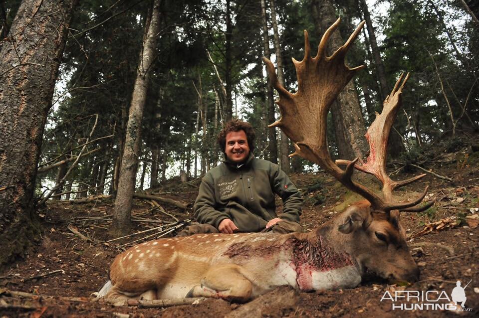 Hunting Fallow Deer France