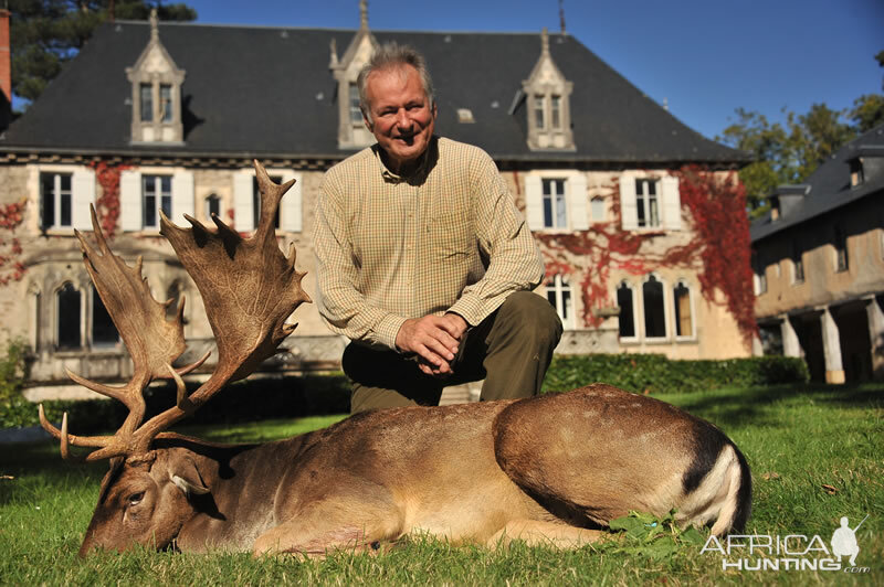 Hunting Fallow Deer France