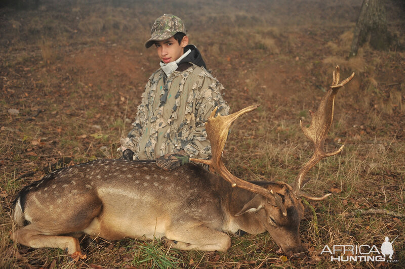 Hunting Fallow Deer France