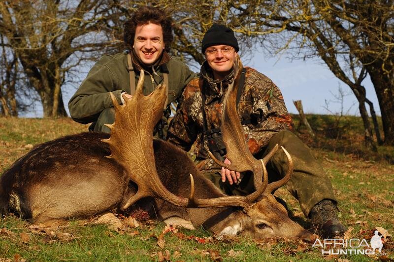 Hunting Fallow Deer France