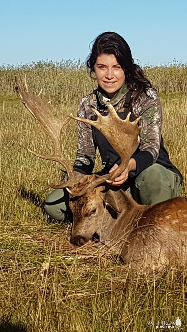 Hunting Fallow Deer in Argentina