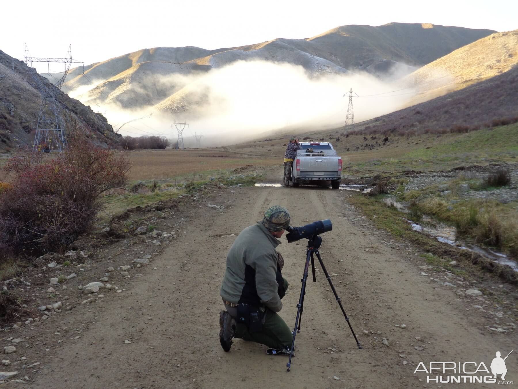 Hunting Fallow Deer in New Zealand