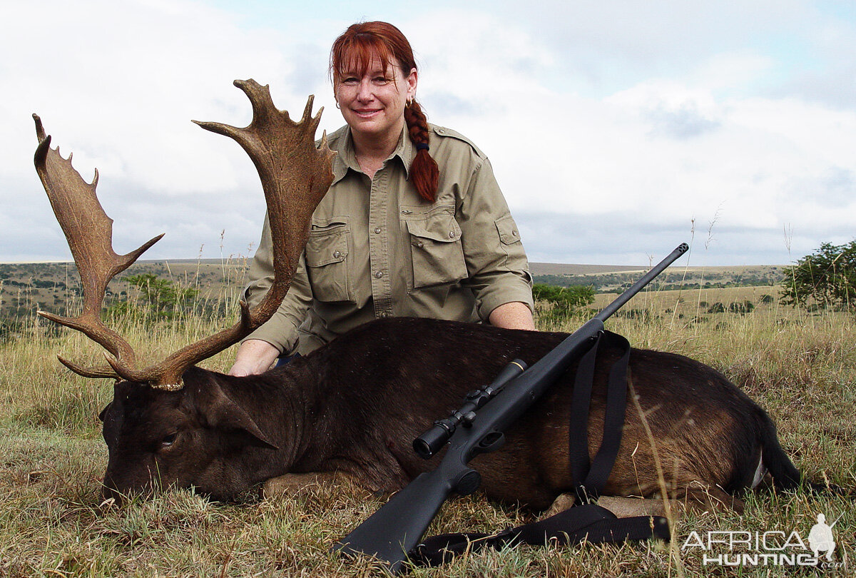 Hunting Fallow Deer in South Africa