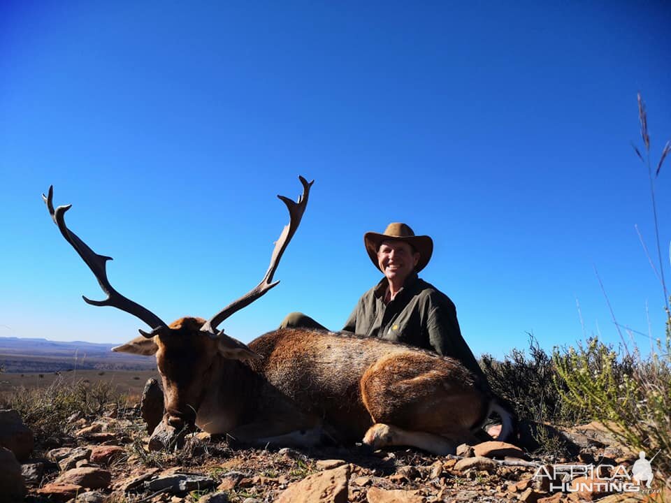 Hunting Fallow Deer in South Africa