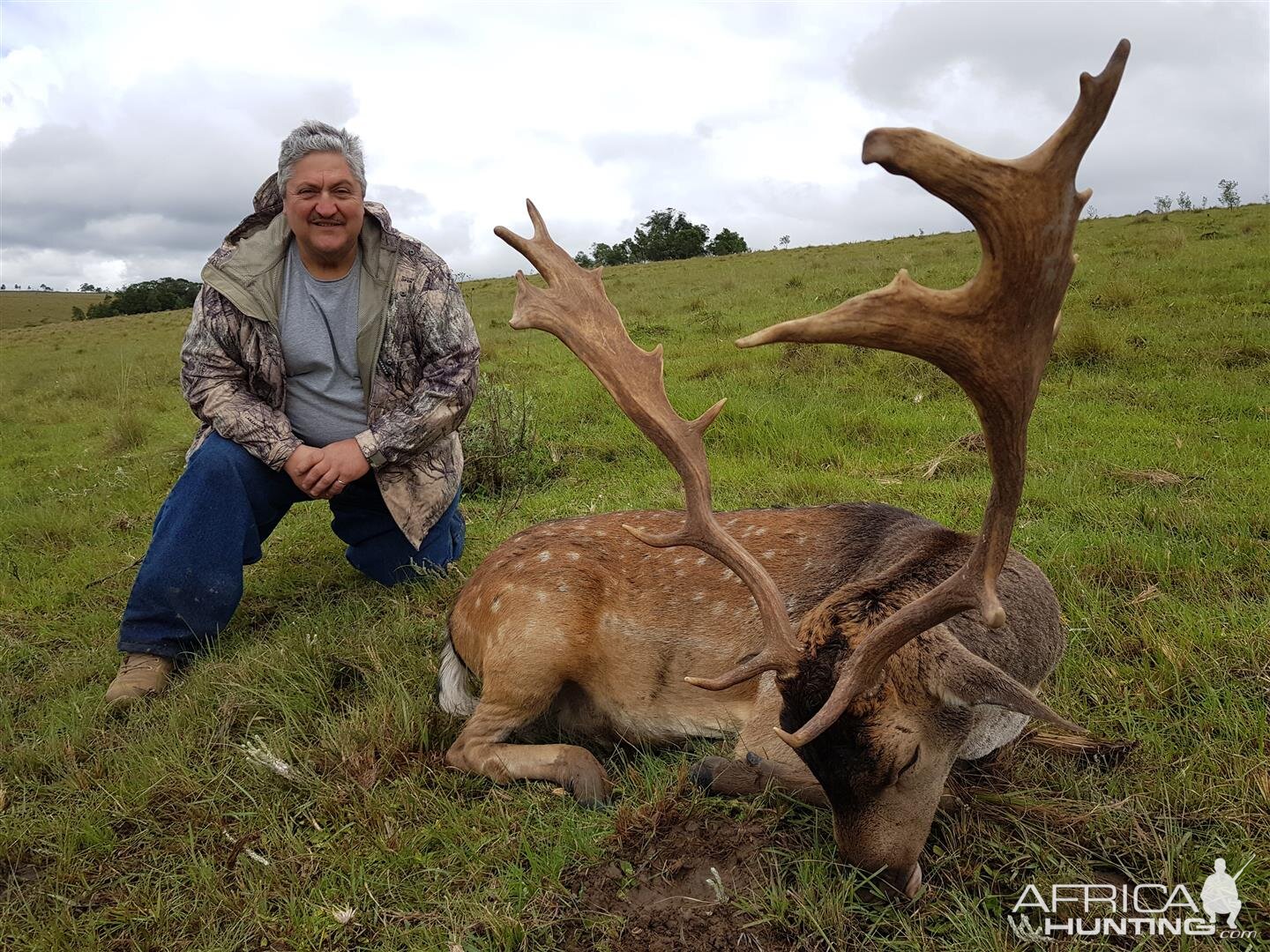 Hunting Fallow Deer South Africa