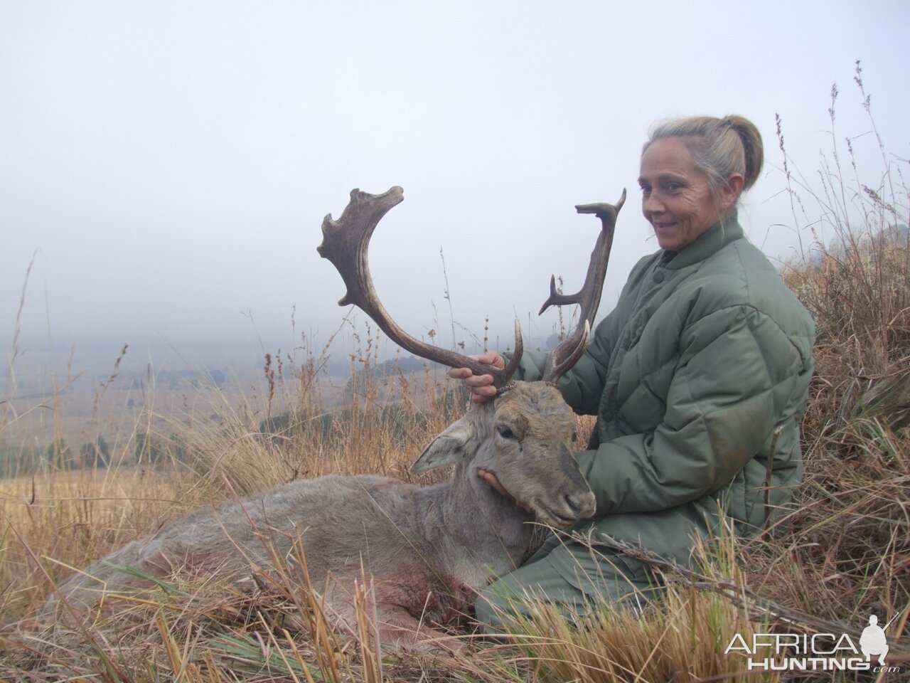 Hunting Fallow Deer