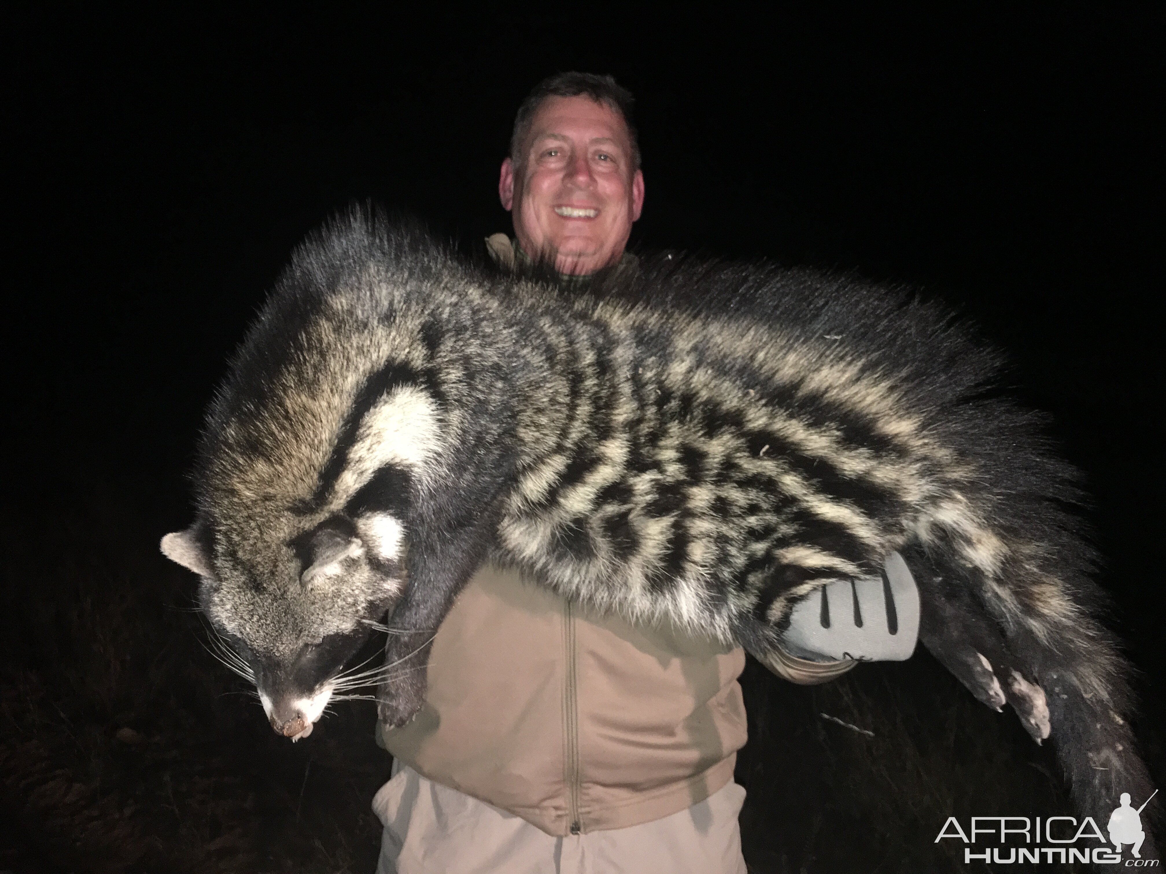 Hunting Female African Civet in Zimbabwe