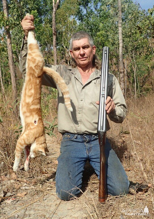 Hunting Feral Cat in Australia