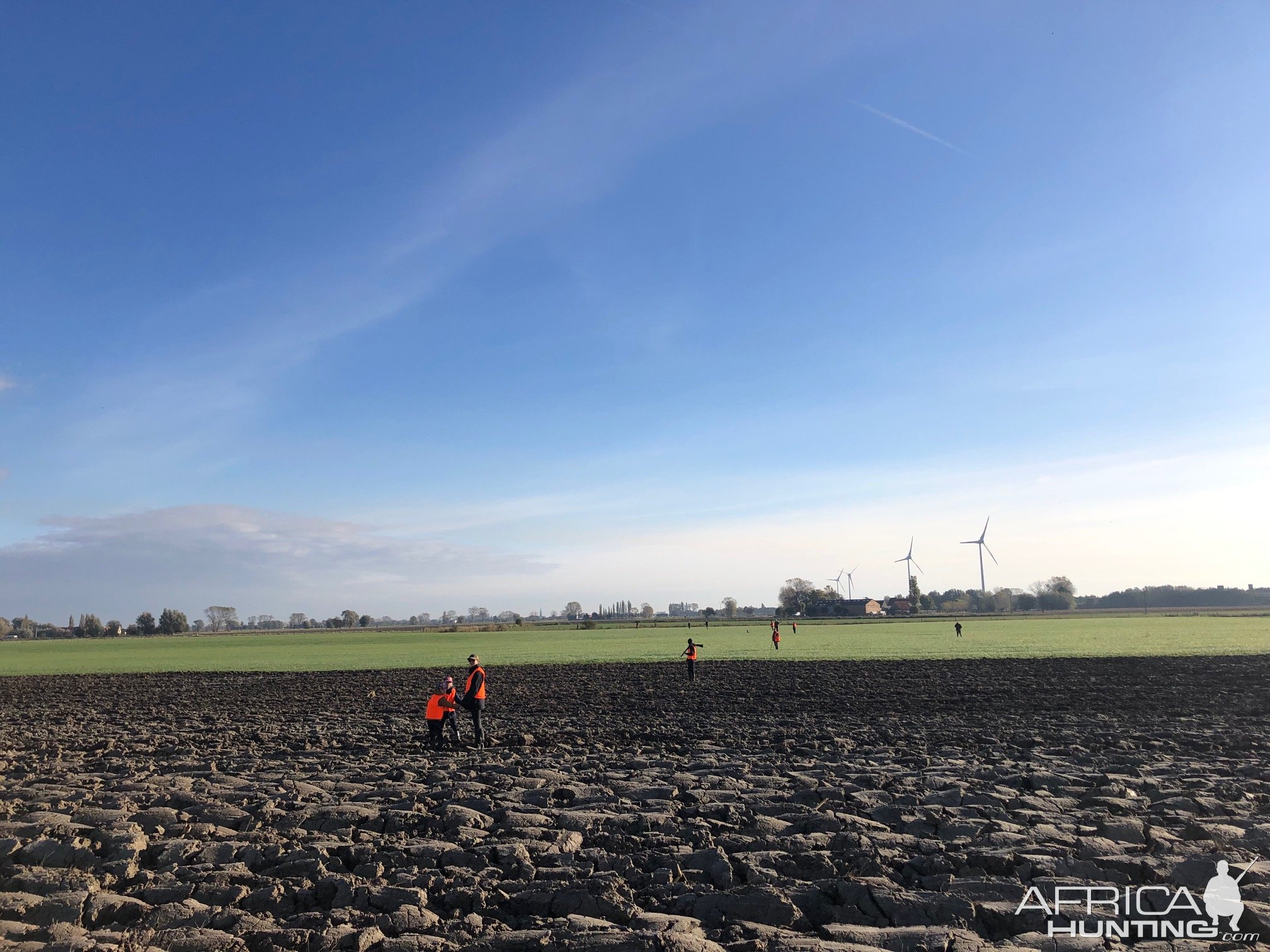 Hunting For Pheasant, Partridge & Hare Flanders