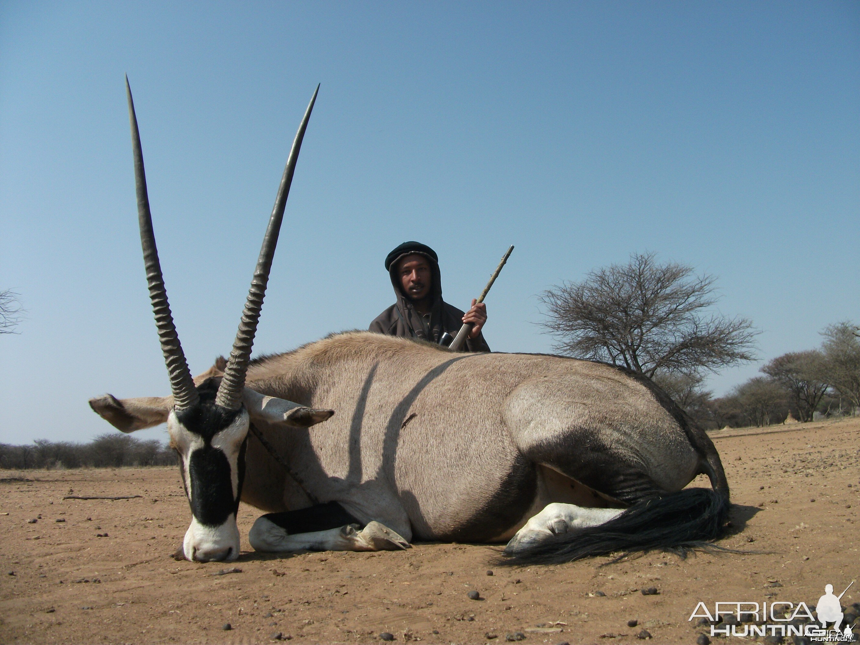 Hunting Gemsbok in Namibia