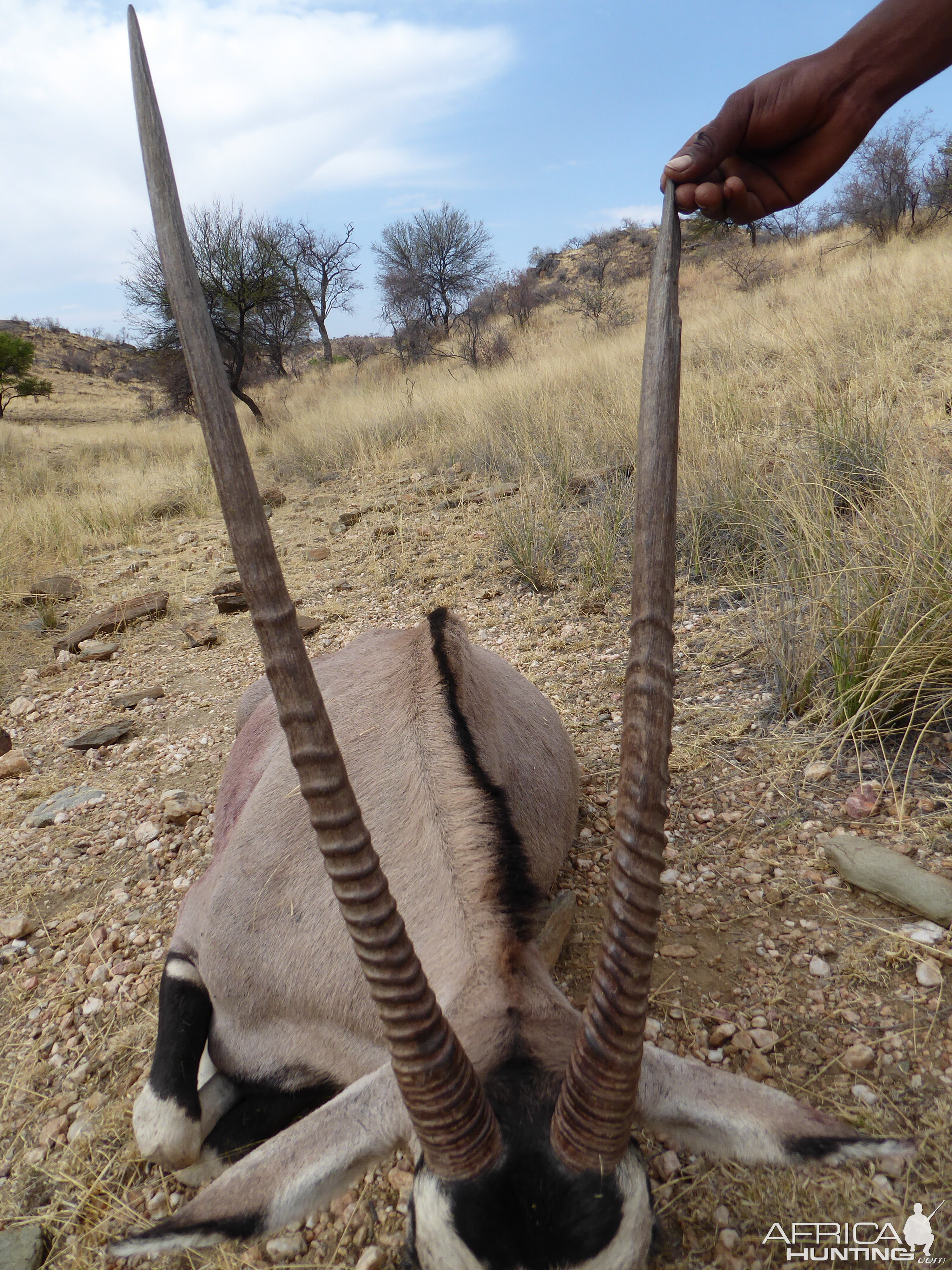 Hunting Gemsbok in Namibia