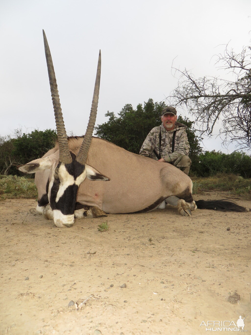 Hunting Gemsbok in South Africa