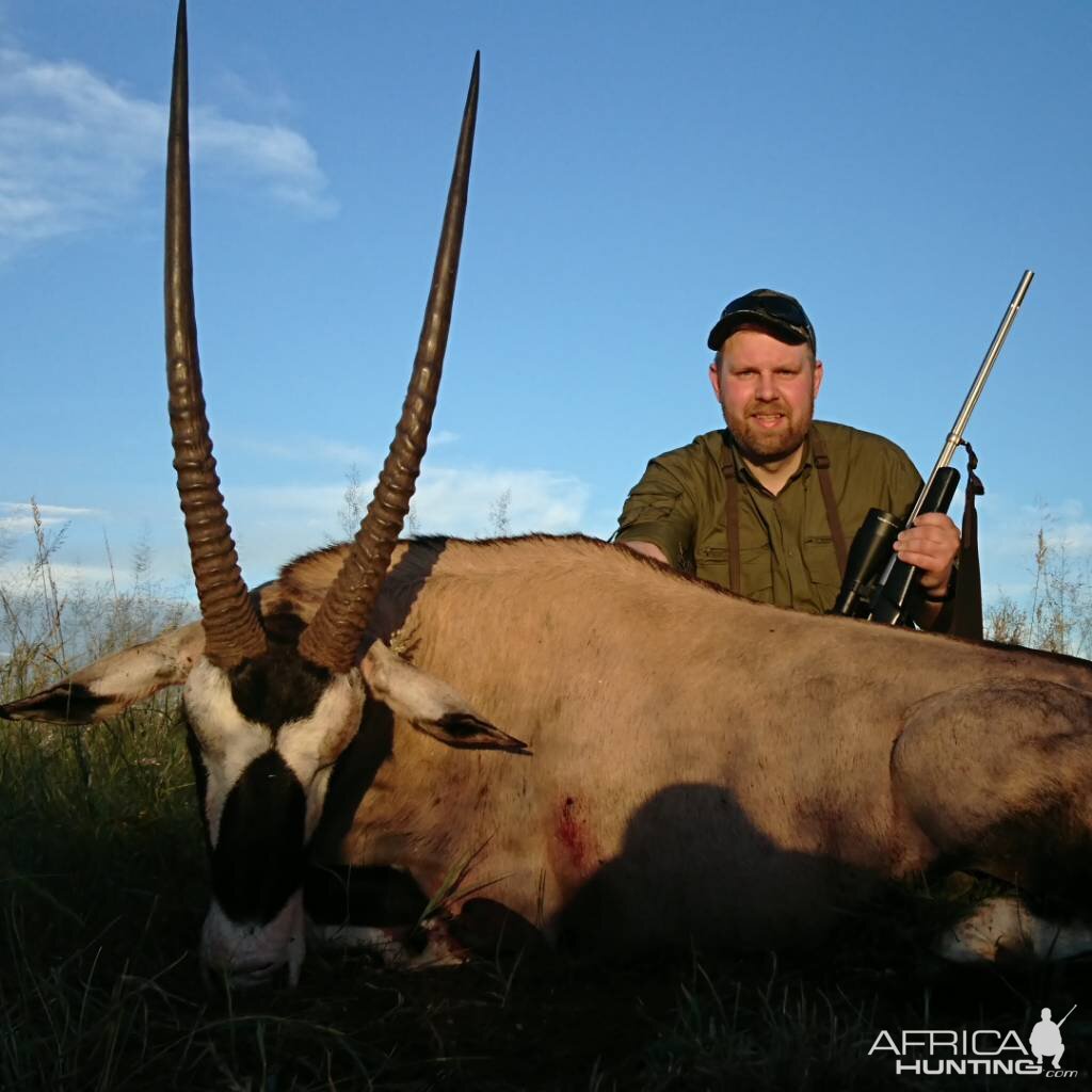 Hunting Gemsbok South Africa