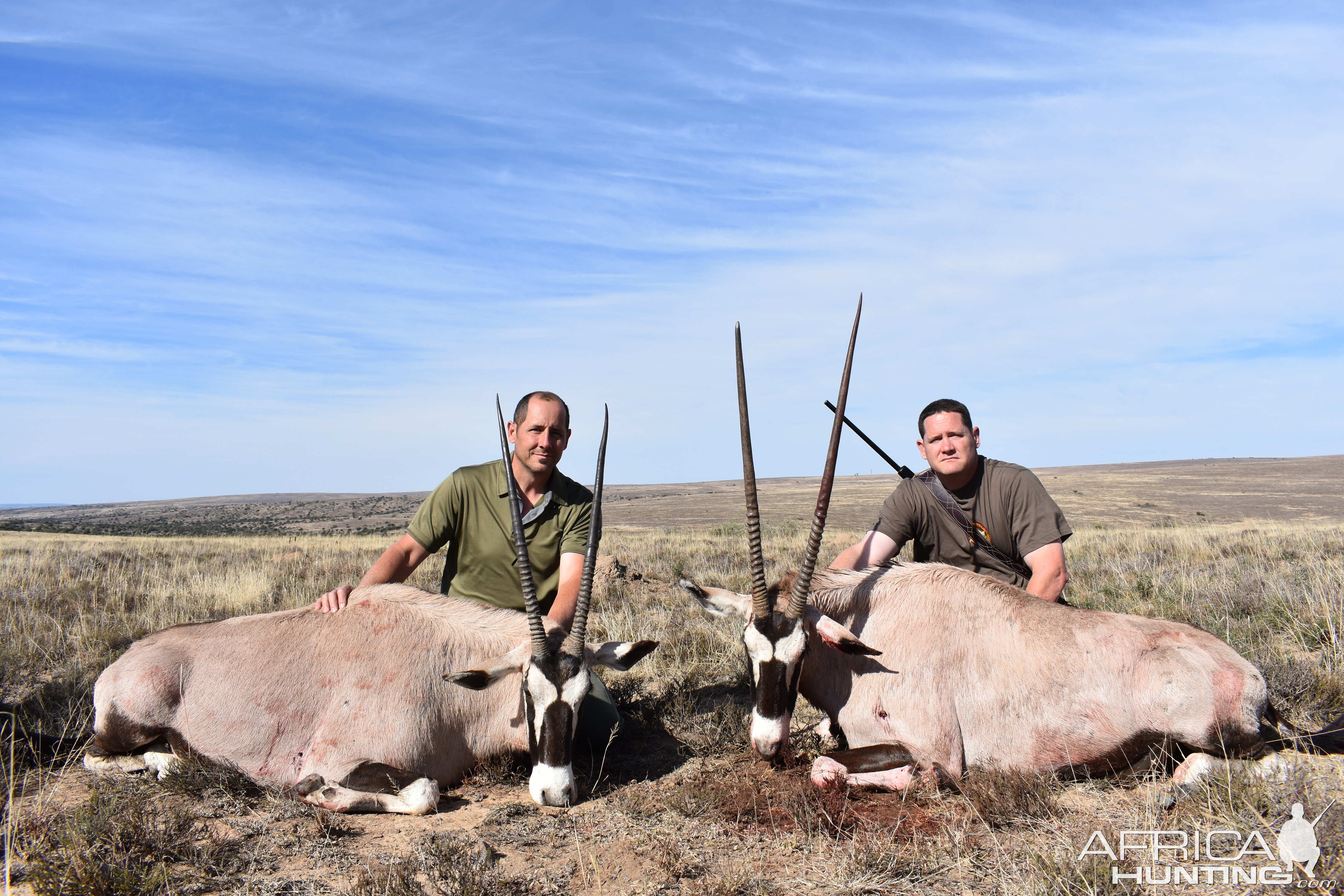 Hunting Gemsbok South Africa