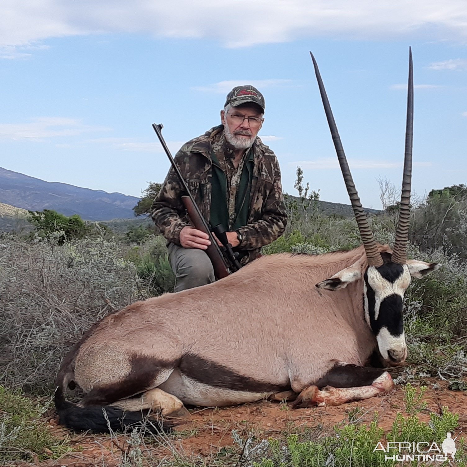 Hunting Gemsbok