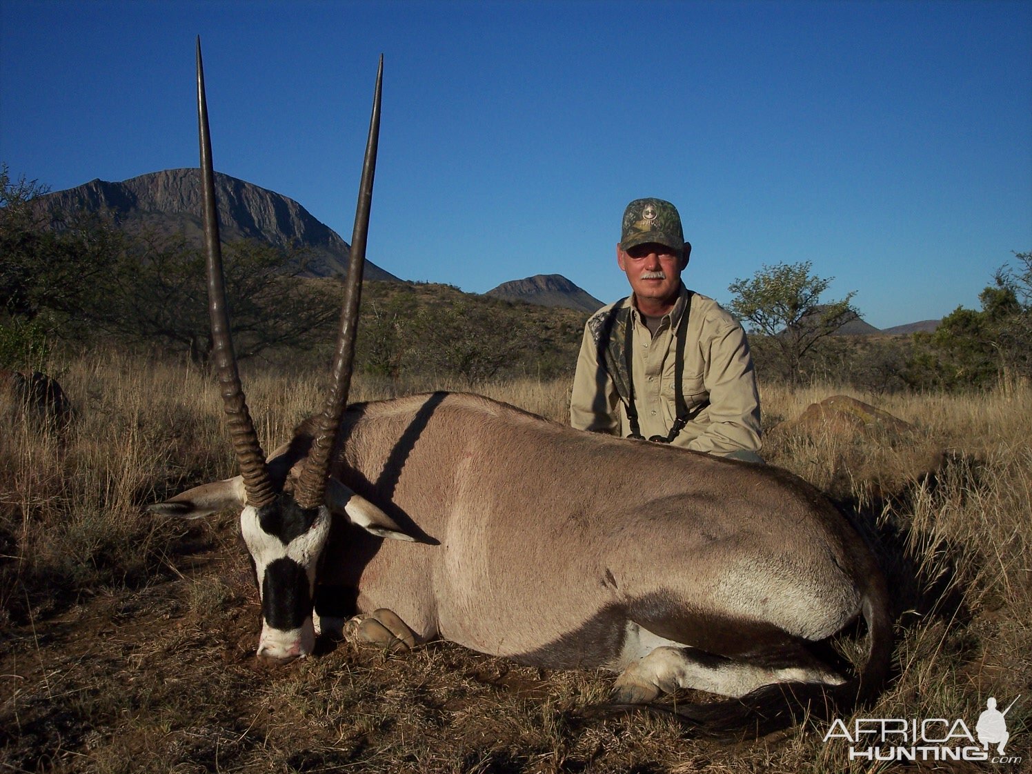 Hunting Gemsbok