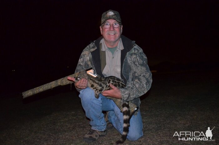 Hunting Genet Cat in South Africa