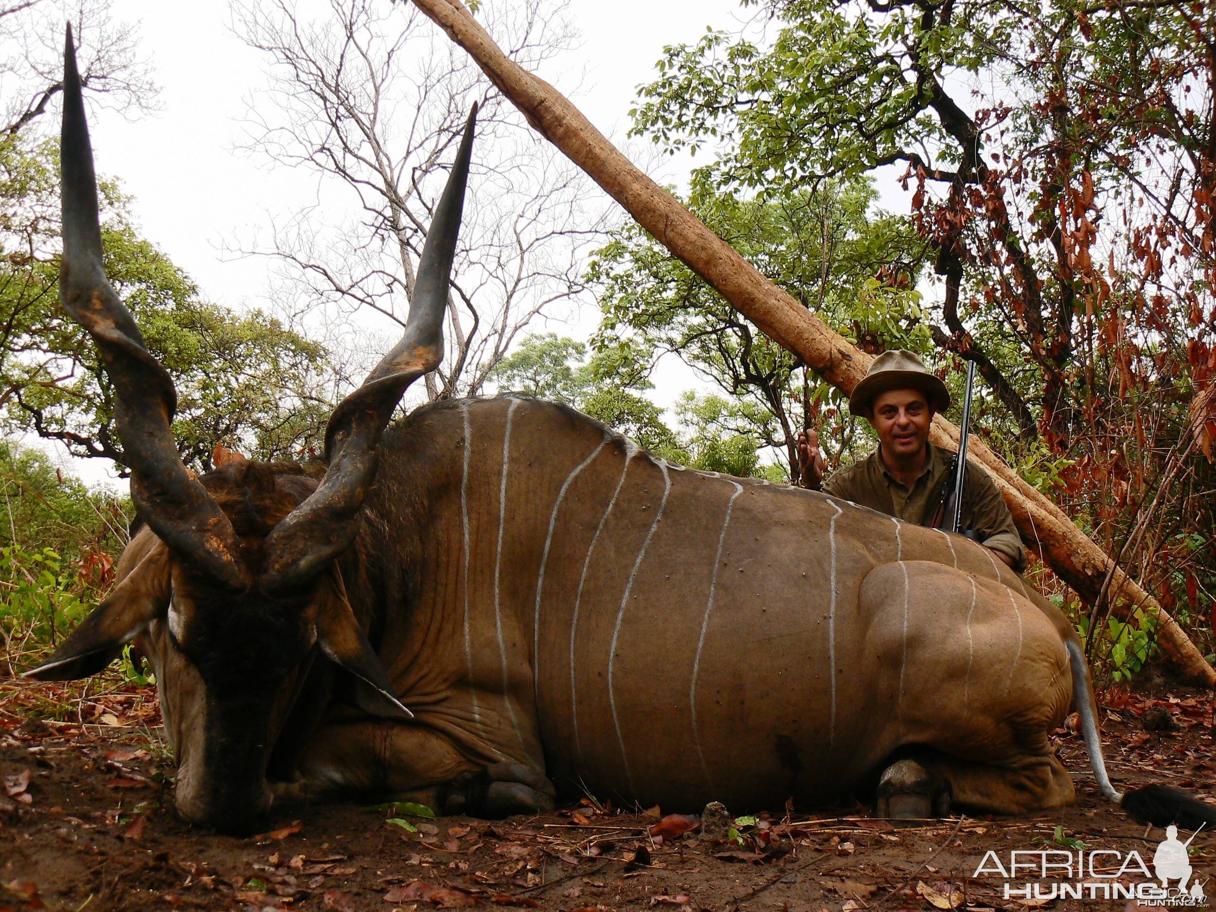 Hunting Giant Eland in CAR