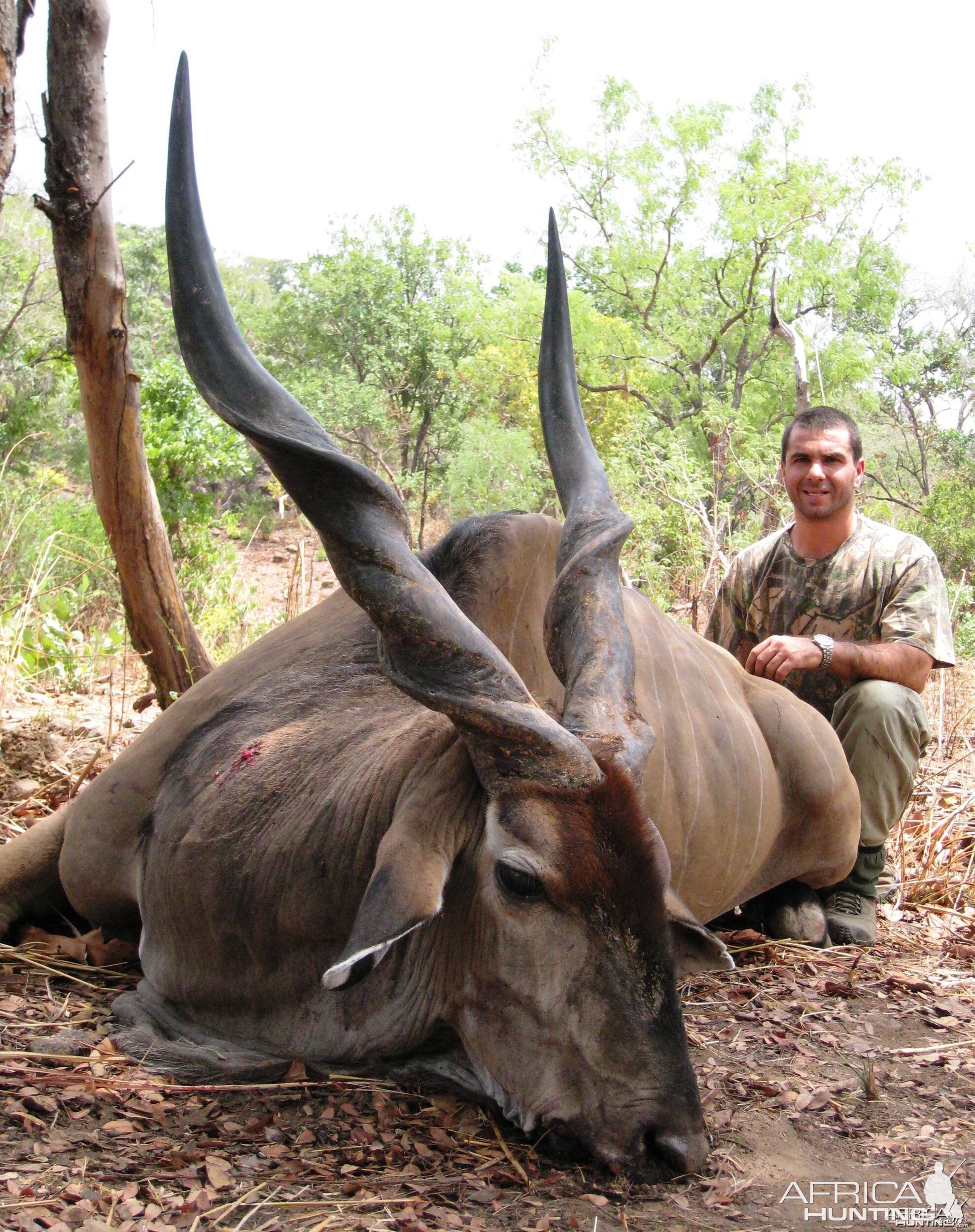 Hunting Giant Eland in CAR