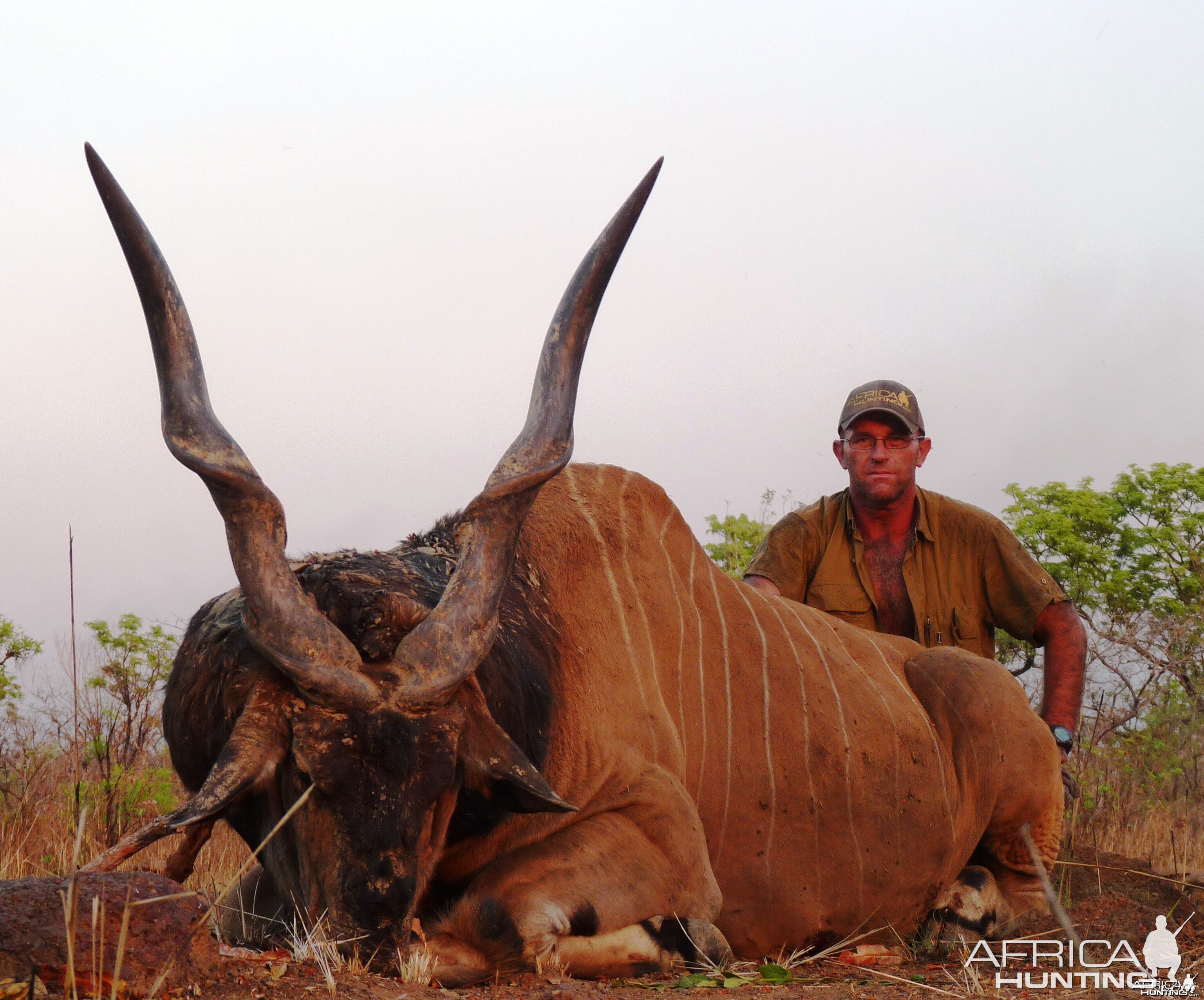 Hunting Giant Eland in Central African Republic