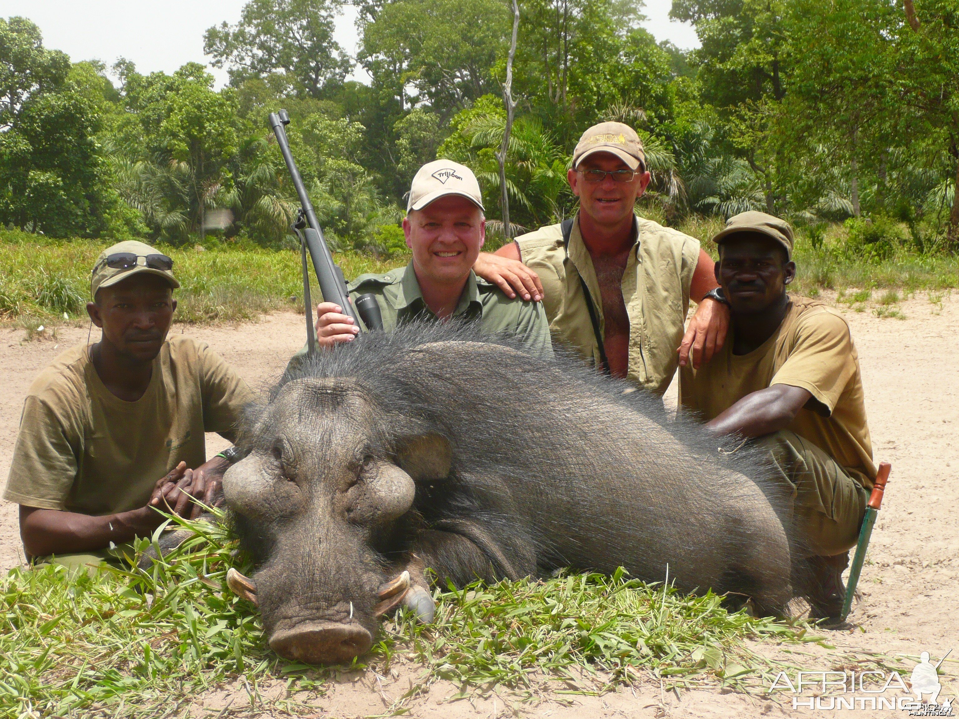 Hunting Giant Forest Hog in Central Africa