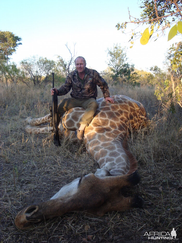 Hunting Giraffe in  in Zimbabwe