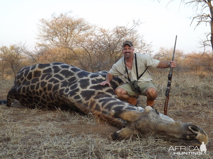 Hunting Giraffe in  in Zimbabwe