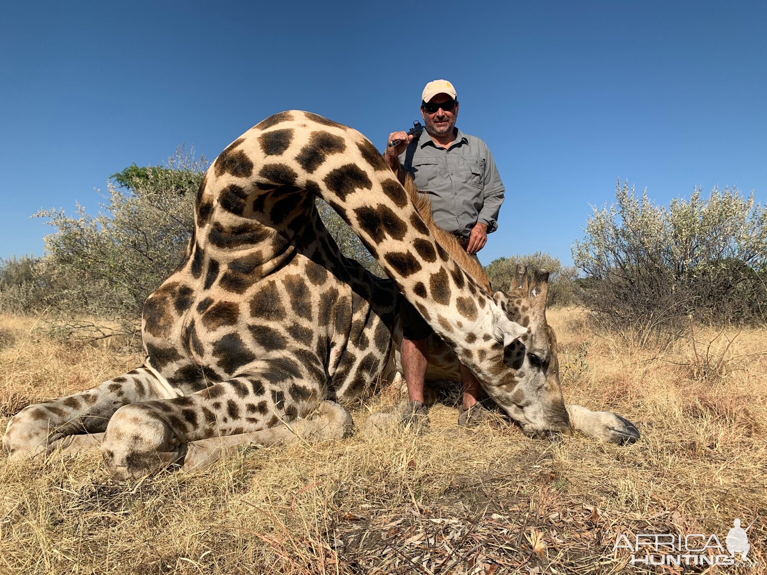 Hunting Giraffe in Namibia