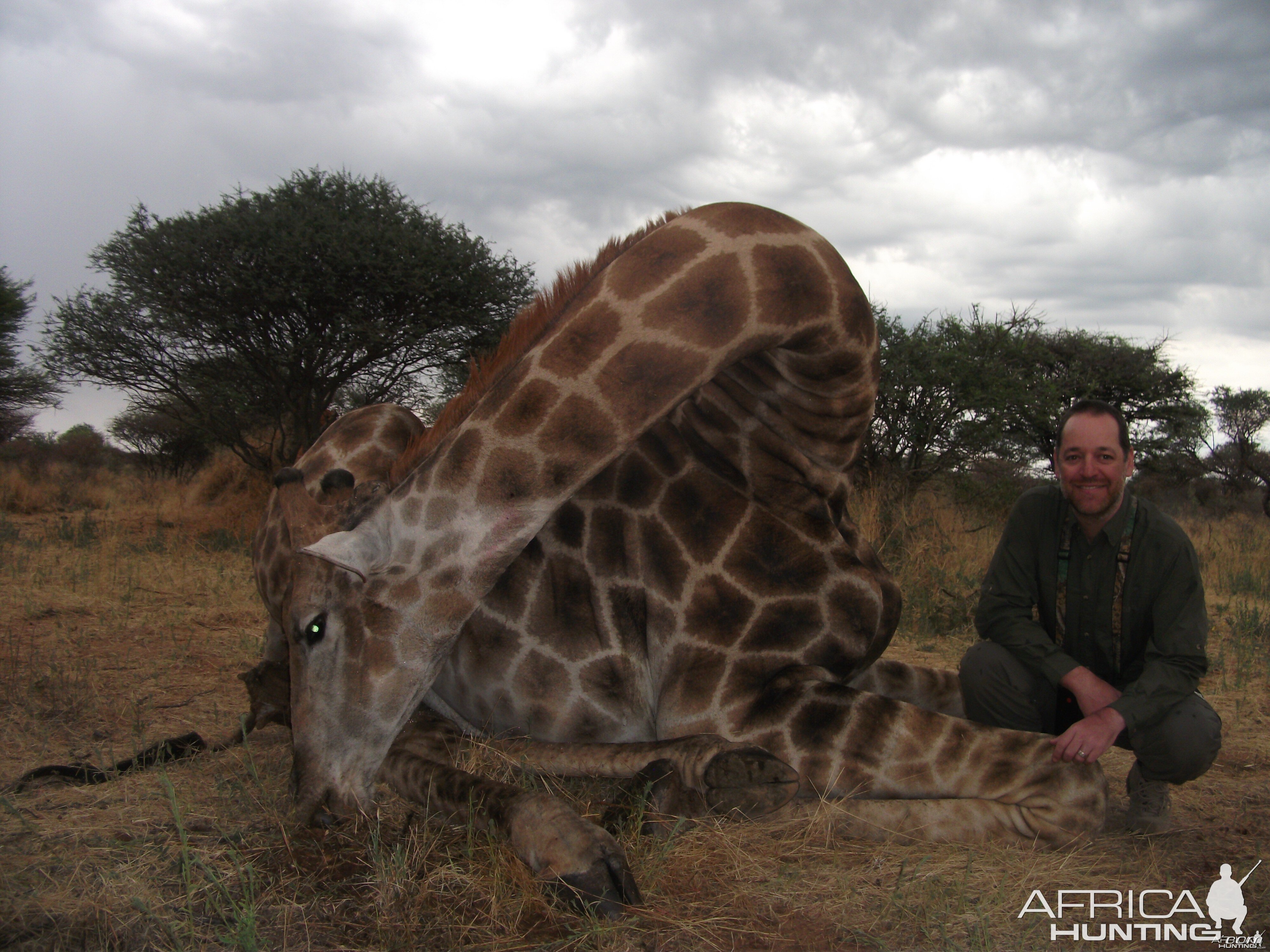 Hunting Giraffe in Namibia