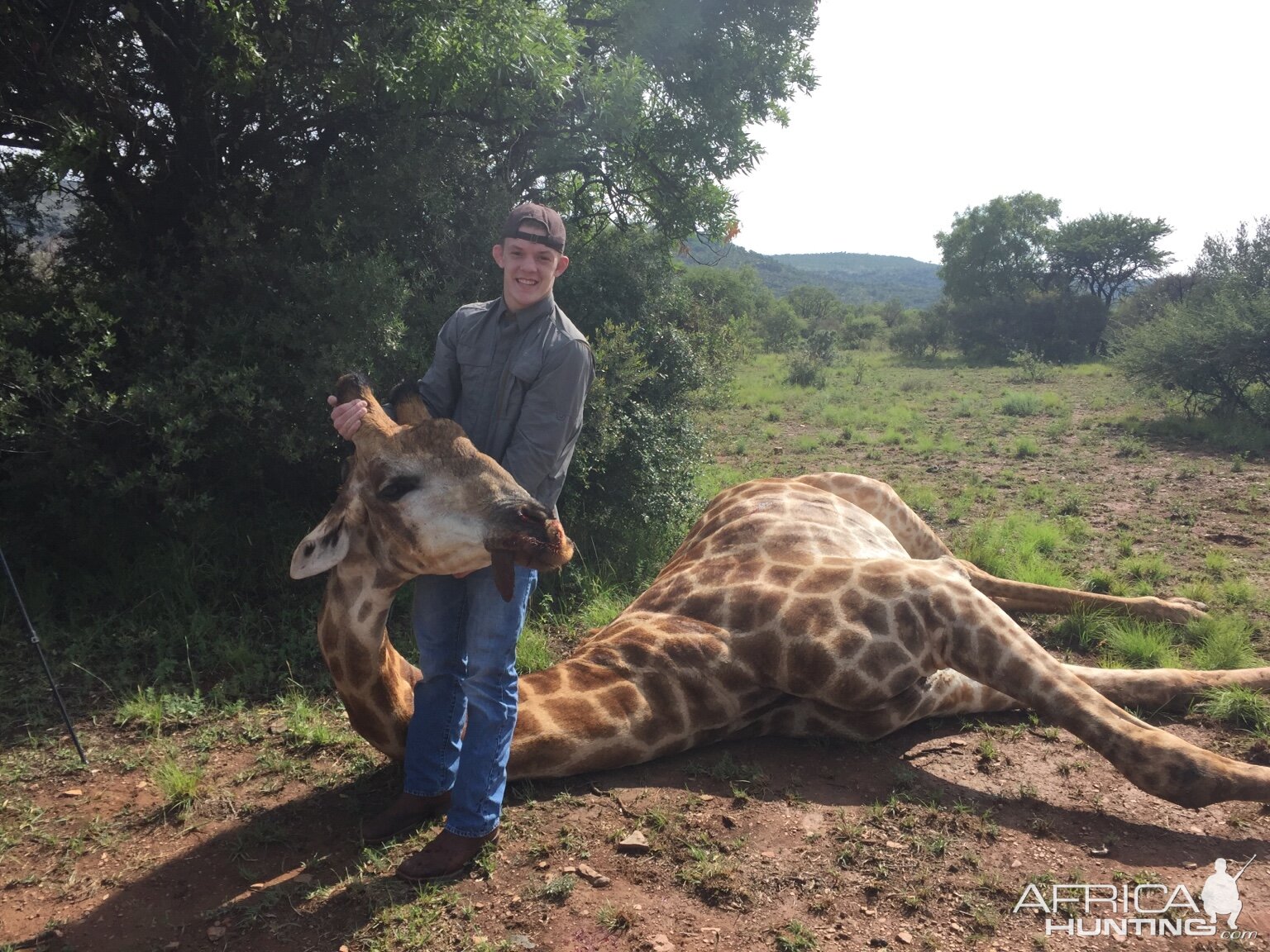 Hunting Giraffe in South Africa