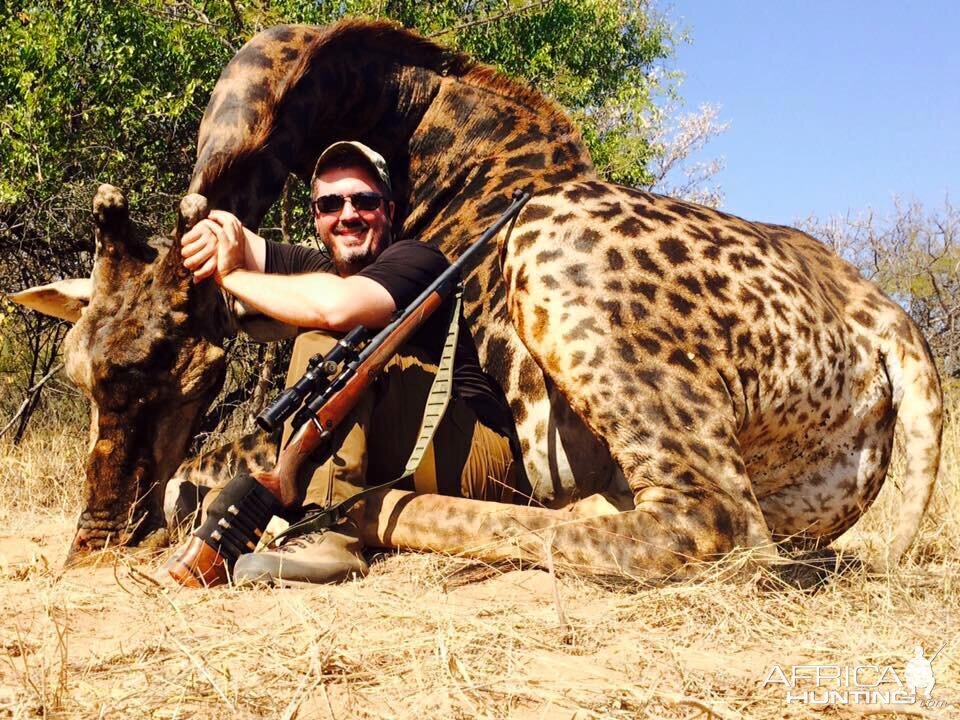 Hunting Giraffe in South Africa