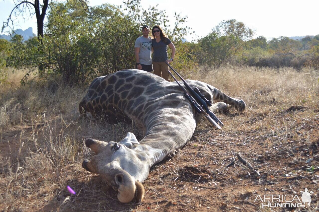 Hunting Giraffe in Zimbabwe