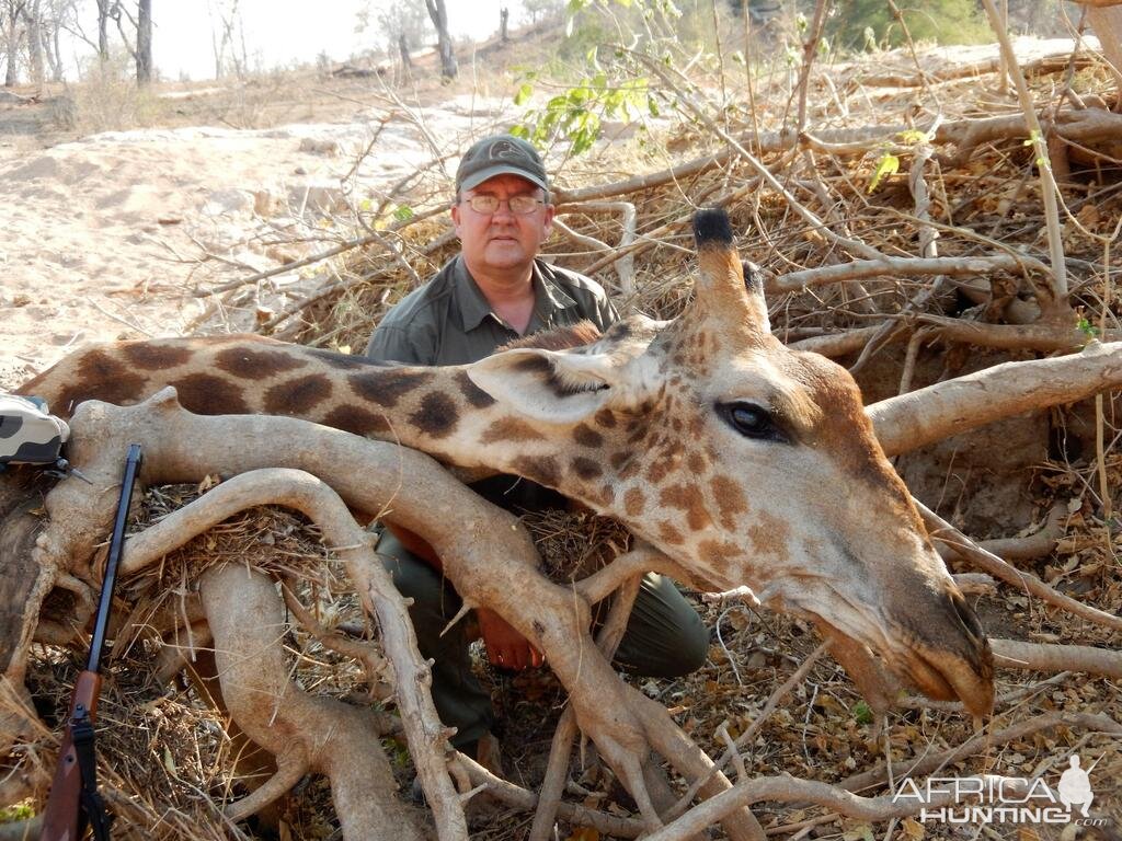 Hunting Giraffe in Zimbabwe