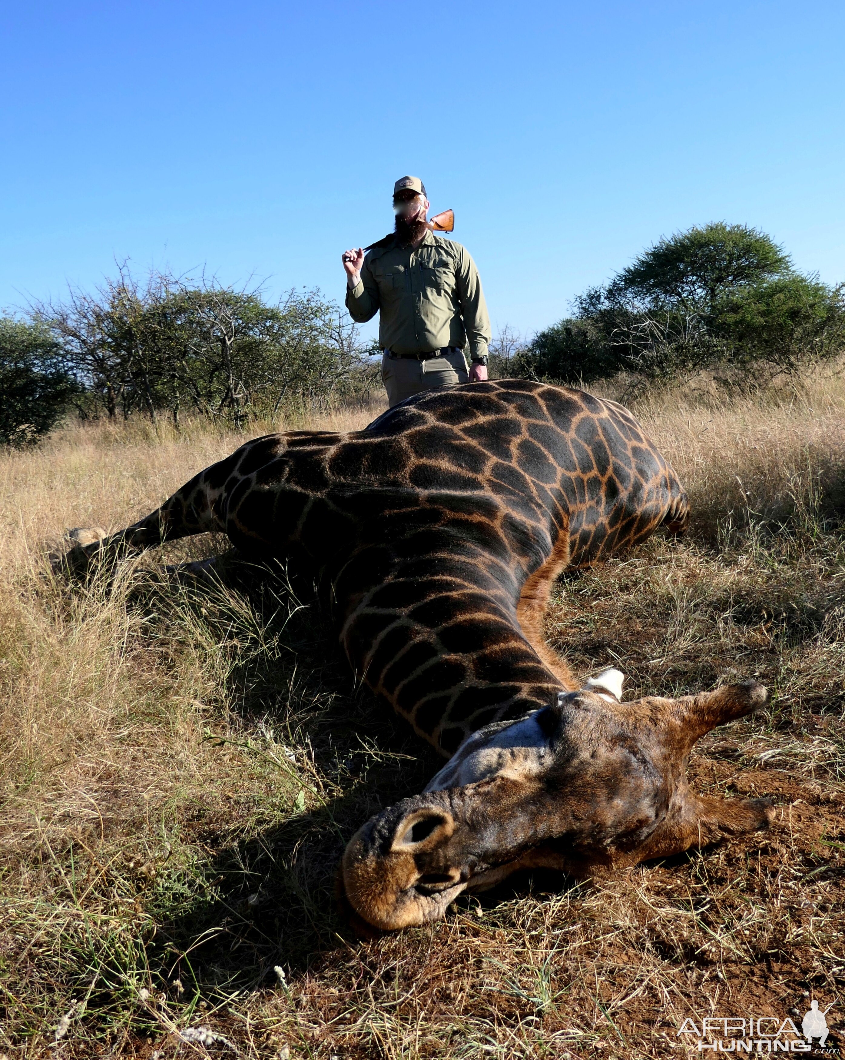 Hunting Giraffe South Africa