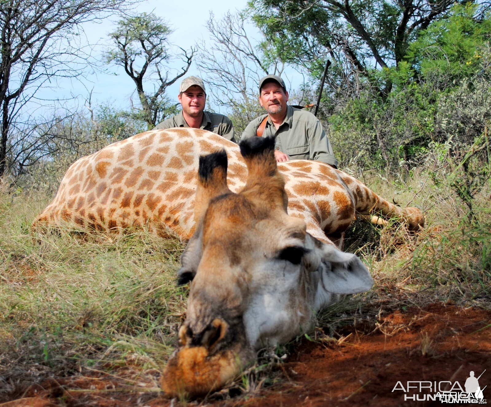 Hunting Giraffe South Africa