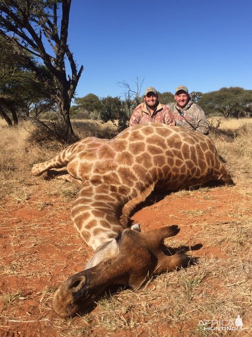 Hunting Giraffe South Africa