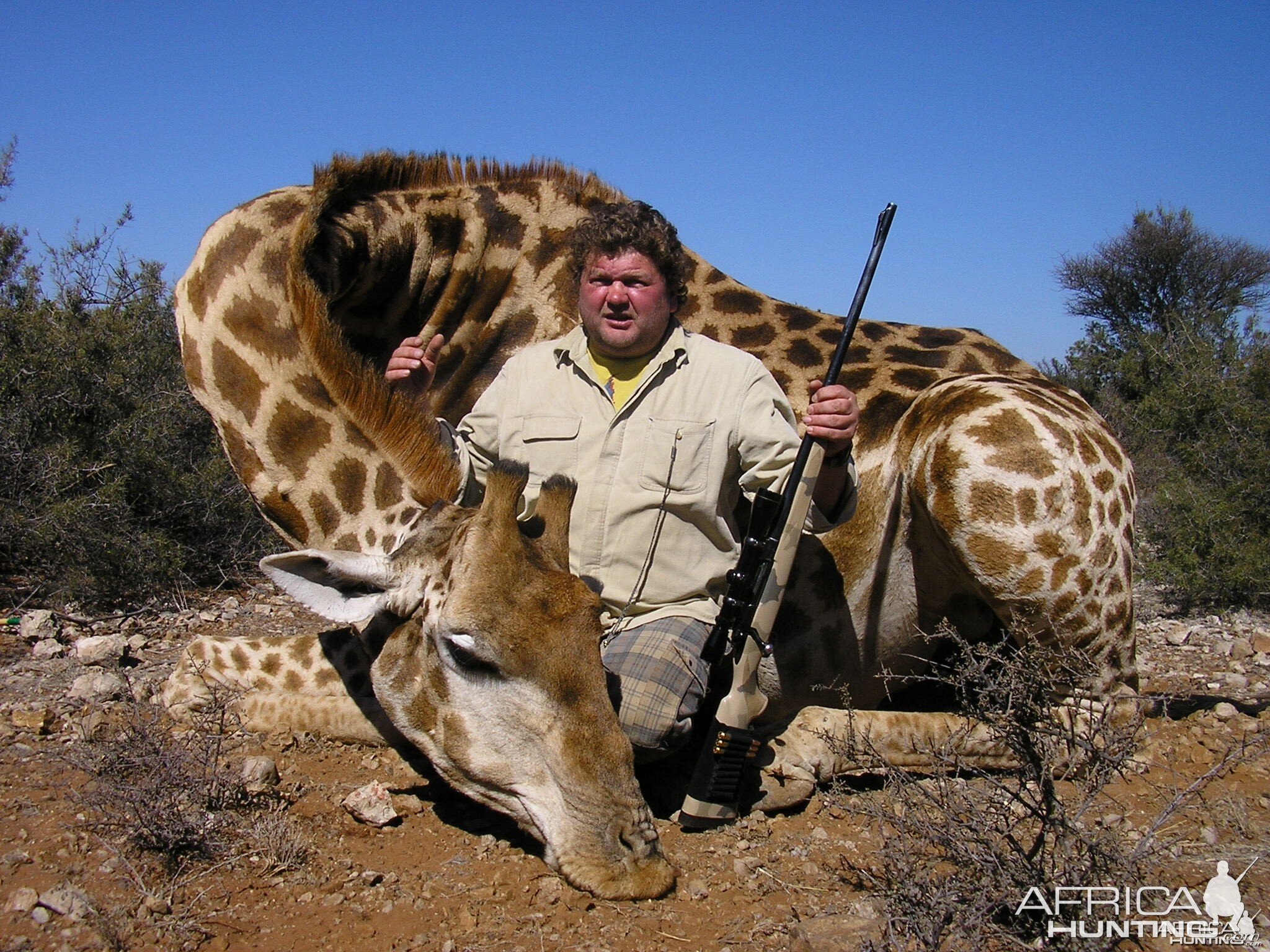 Hunting Giraffe with Wintershoek Johnny Vivier Safaris in SA