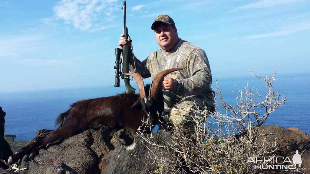 Hunting Goat Big Island Hawaii