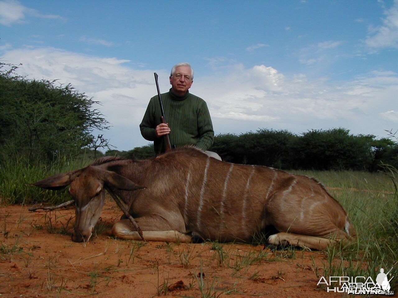 Hunting Greater Kudu Female in Namibia