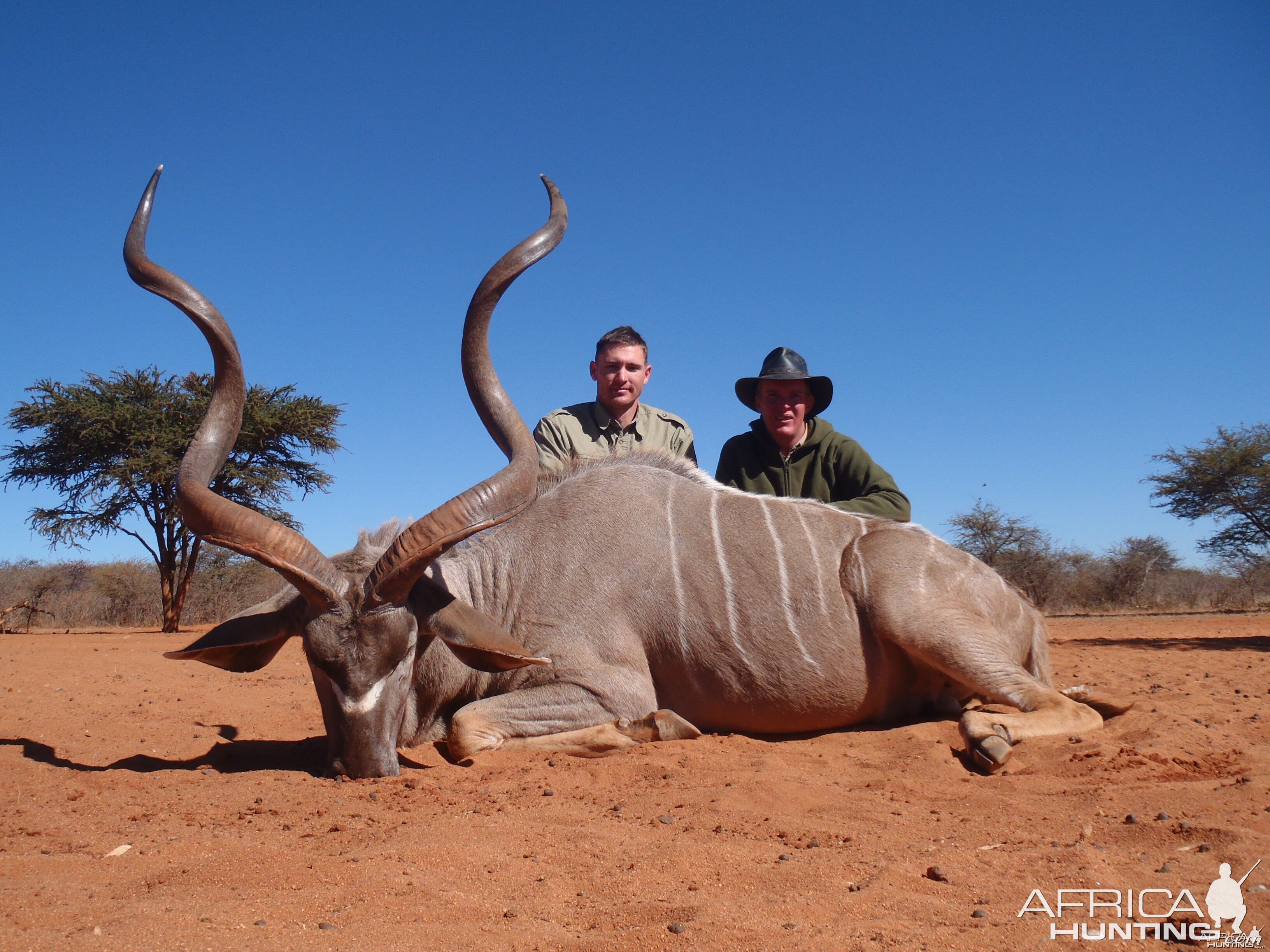 Hunting Greater Kudu in Namibia