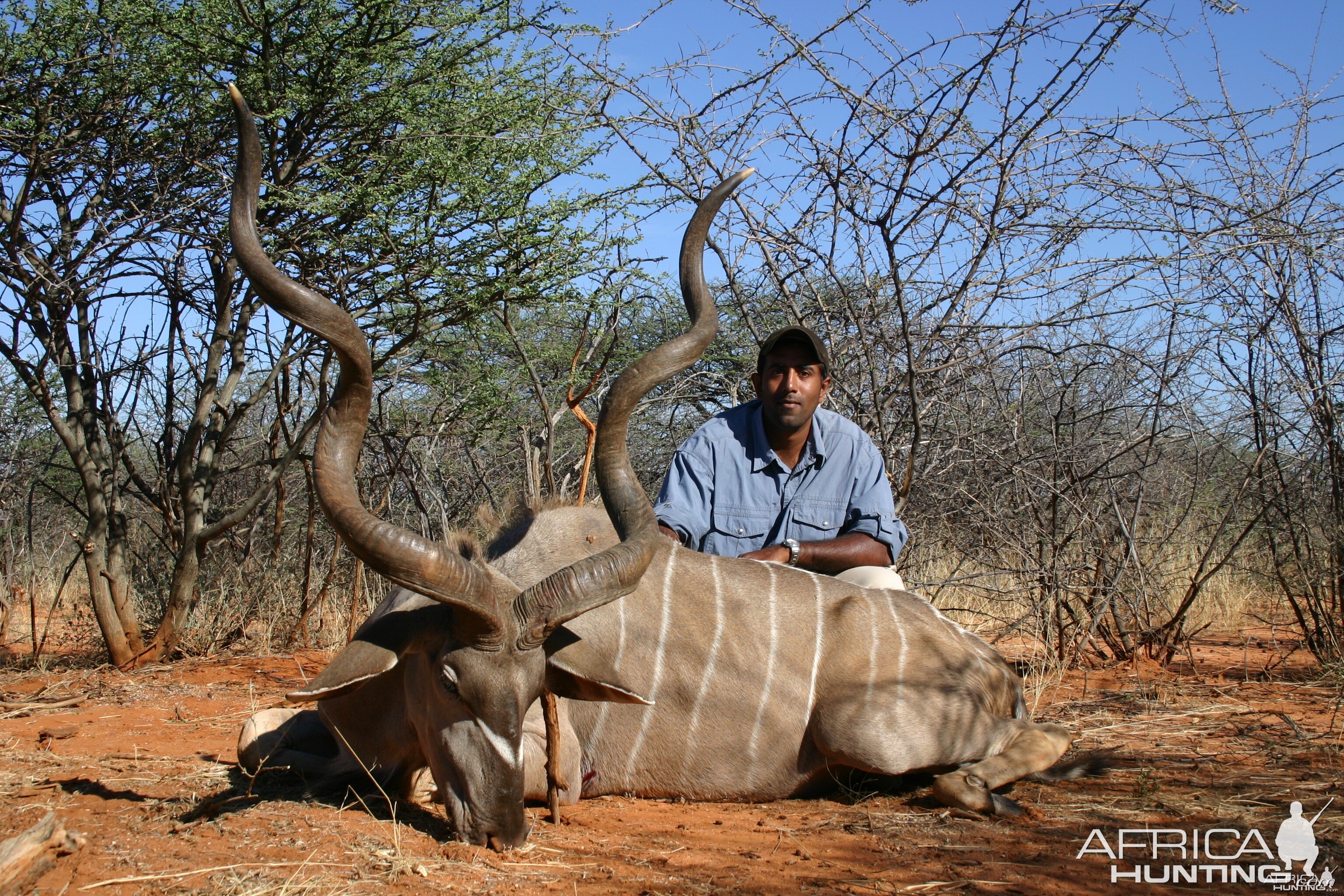 Hunting Greater Kudu in Namibia