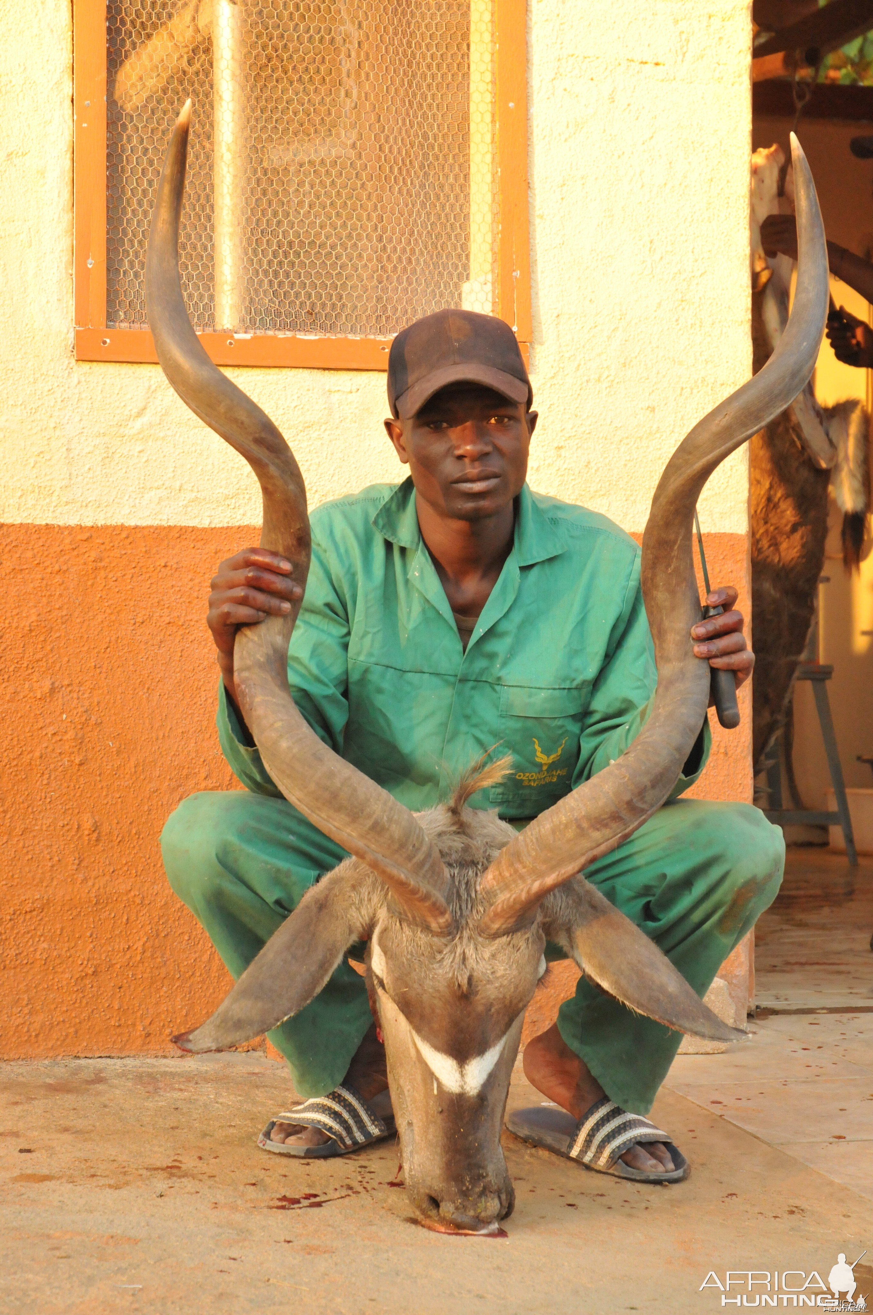 Hunting Greater Kudu in Namibia