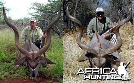 Hunting Greater Kudu