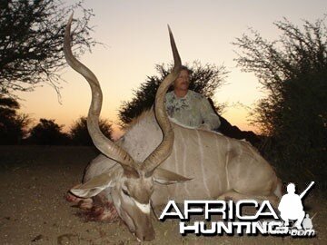 Hunting Greater Kudu