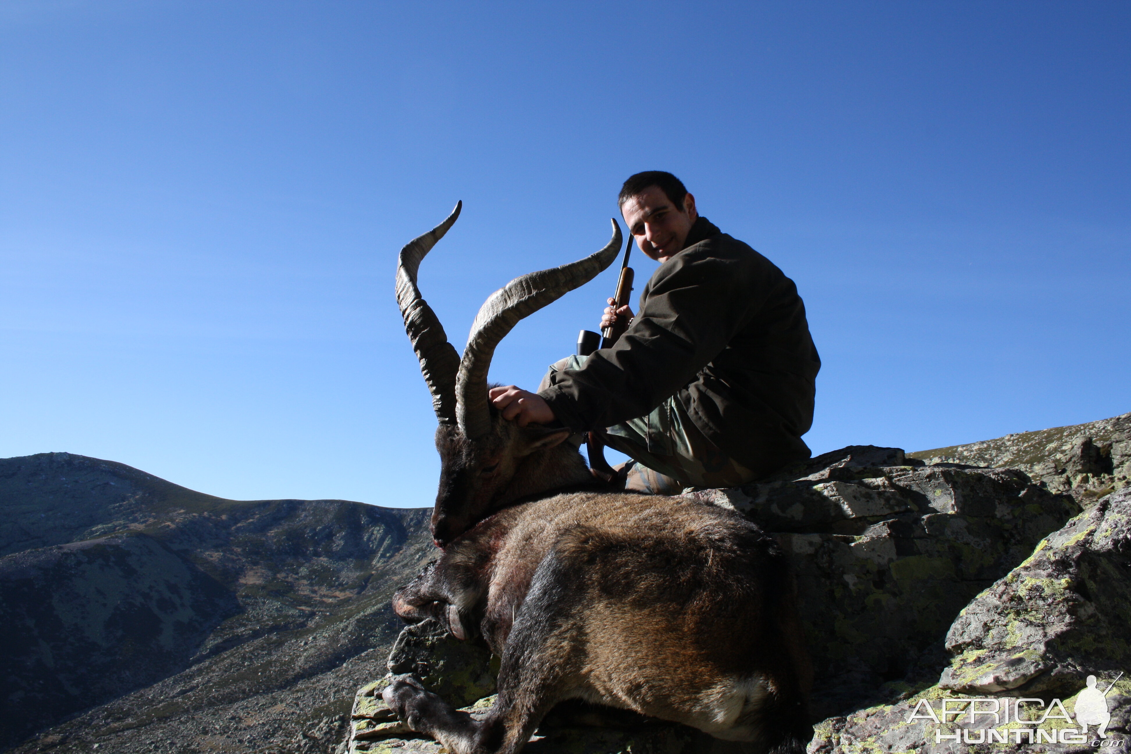 Hunting Gredos Ibex in Spain